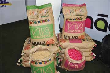Pequenos agricultores de Barão de Grajaú recebem sementes de milho e arroz