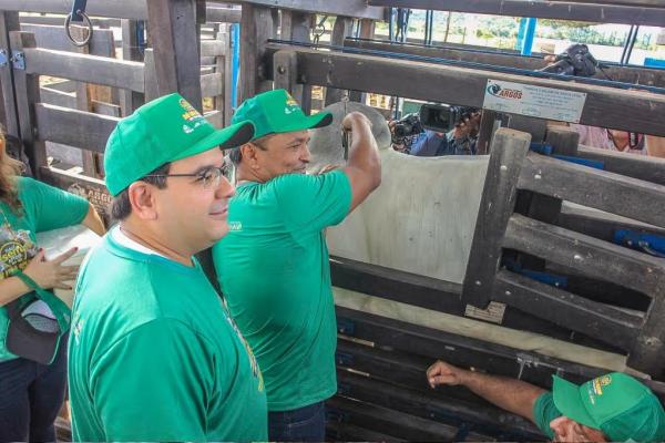 Piau&iacute; inicia segunda etapa da Campanha de Vacina&ccedil;&atilde;o Contra Febre Aftosa.(Imagem:Divulga&ccedil;&atilde;o)