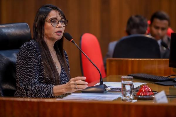 Audiência pública vai discutir a problemática das queimadas no Piauí