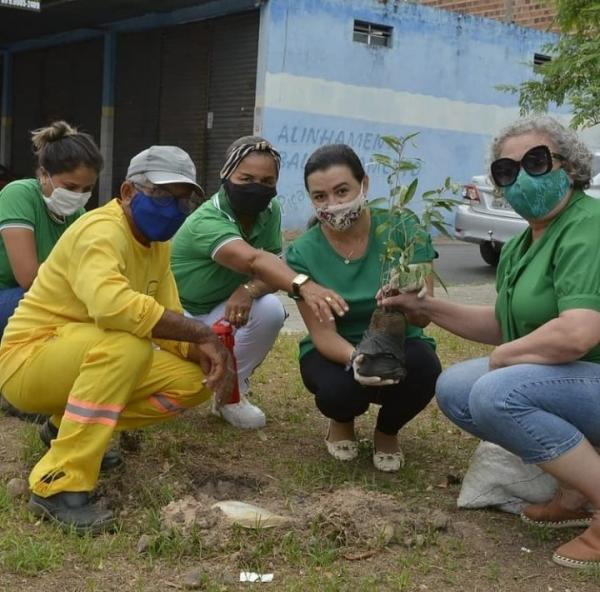 Secretaria de Meio Ambiente realiza plantio nas praças de Floriano