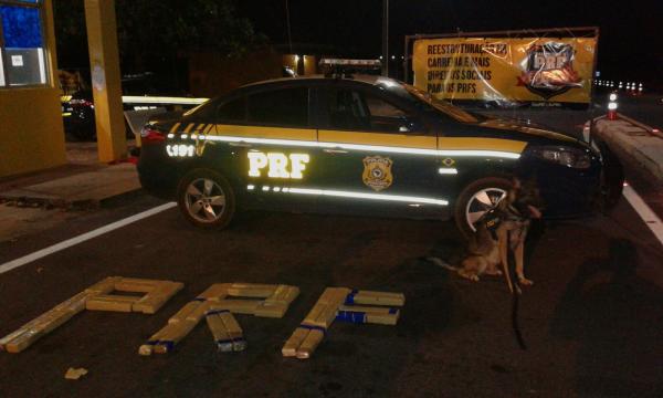 Foram utilizados c&atilde;es e equipe especializada no combate ao narcotr&aacute;fico.(Imagem:PRF)