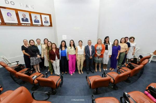 Uespi, Seduc e Pacto pelas Crianças iniciam curso de brinquedista e organização de brinquedotecas