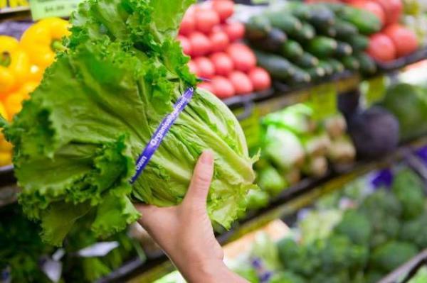 Anvisa aprova instrução sobre rastreabilidade de vegetais in natura