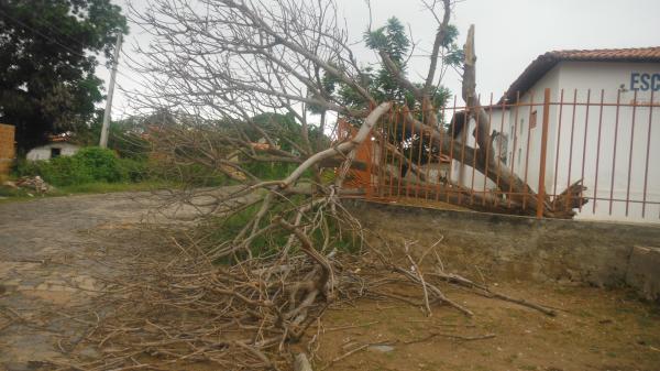 Forte ventania arrancou &aacute;rvores e placas em Floriano.(Imagem:FlorianoNews)