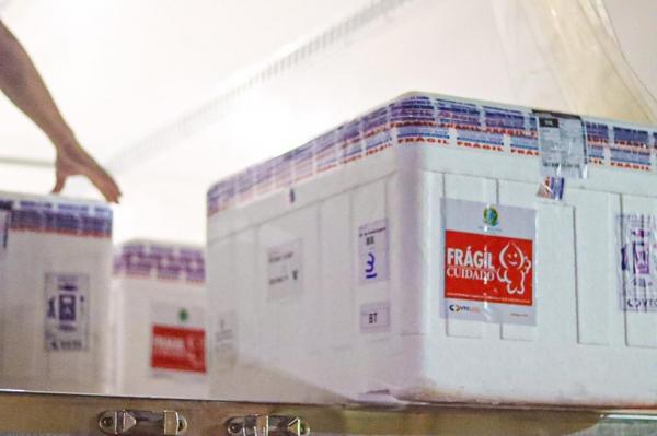 Piauí recebe 60 mil doses de vacinas contra a Covid-19; veja quem vai ser vacinado