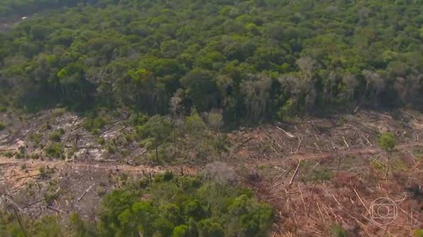 Piauí será alvo de força-tarefa nacional para conter desmatamento no Cerrado