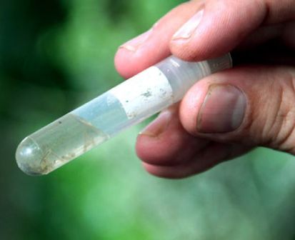 Número de casos de dengue aumenta 33% em todo o Piauí