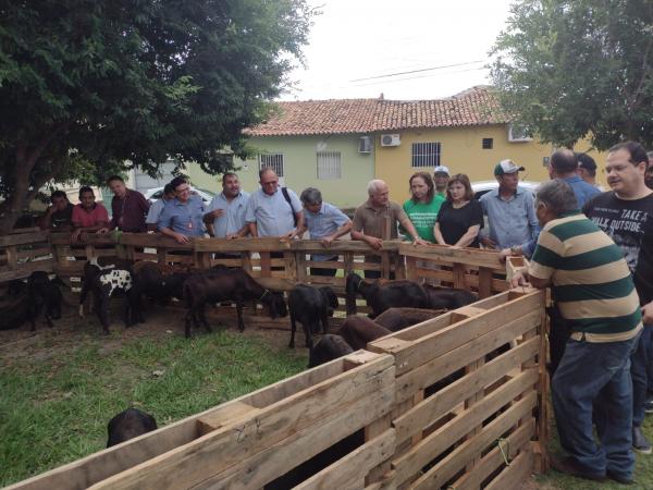 Prefeitura de Floriano entrega reprodutores de ovinos para criadores locais