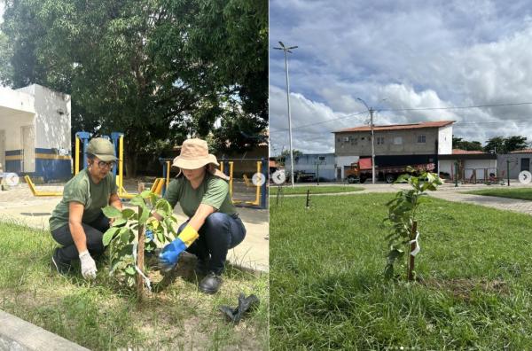Prefeitura realiza plantio de árvores em praças e espaços públicos de Floriano(Imagem:Reprodução/Instagram)