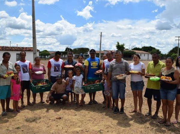 Fam&iacute;lias driblam a seca e investem na planta&ccedil;&atilde;o de uvas no sert&atilde;o do PI.(Imagem:Alonso Gomes)
