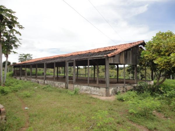 Espa&ccedil;o para ressocializa&ccedil;&atilde;o(Imagem:Floriano News)