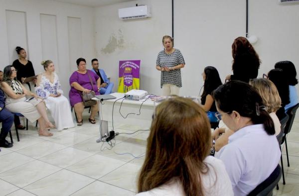 Secretaria das Mulheres re&uacute;ne &oacute;rg&atilde;os e define a&ccedil;&otilde;es da campanha Mar&ccedil;o Mulher.(Imagem:Divulga&ccedil;&atilde;o)