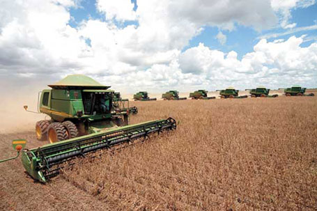 Agricultores de soja diversificam e investem no cultivo do milho e arroz