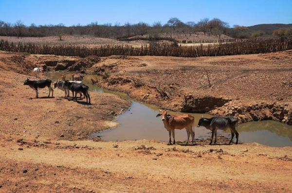 Seca traz diversos impactos aos municípios piauienses, afirma IBGE