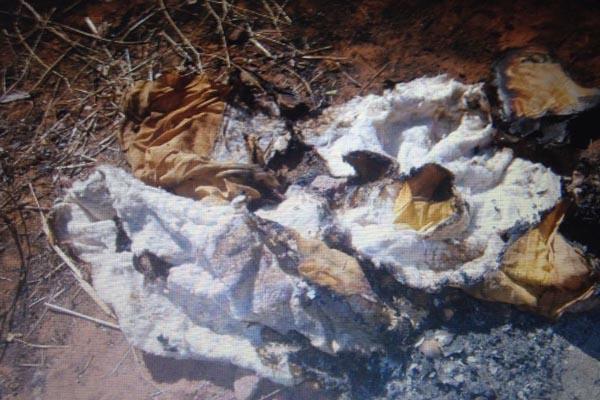 Feto de seis meses é encontrado queimado em matagal no interior do PI