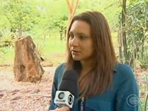 PI apura falta de preserva&ccedil;&atilde;o do Parque Ambiental Floresta F&oacute;ssil (Imagem:G1 PI)