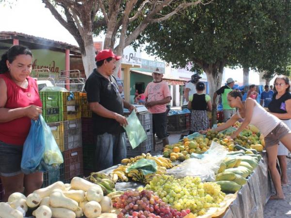 Com&eacute;rcio em S&atilde;o Jo&atilde;o do Arraial .(Imagem:Catarina Costa/G1 PI)