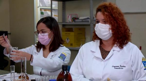  Pesquisadoras do Piau&iacute; identificam no ip&ecirc; propriedades anti-inflamat&oacute;rias e anticancer&iacute;genas.(Imagem:Reprodu&ccedil;&atilde;o/TV Clube )