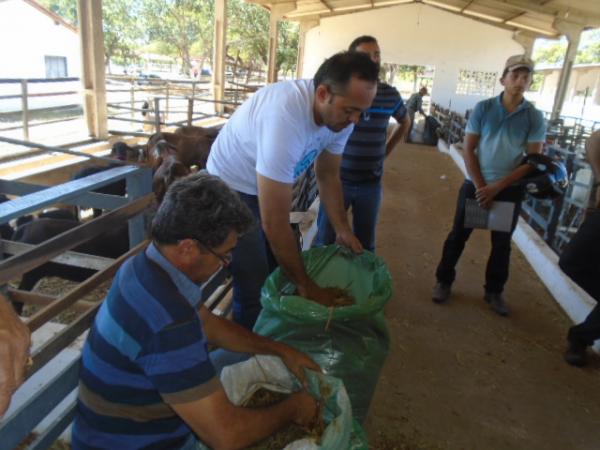 SEBRAE oferece curso sobre alimenta&ccedil;&atilde;o animal para produtores de Floriano.(Imagem:FlorianoNews)