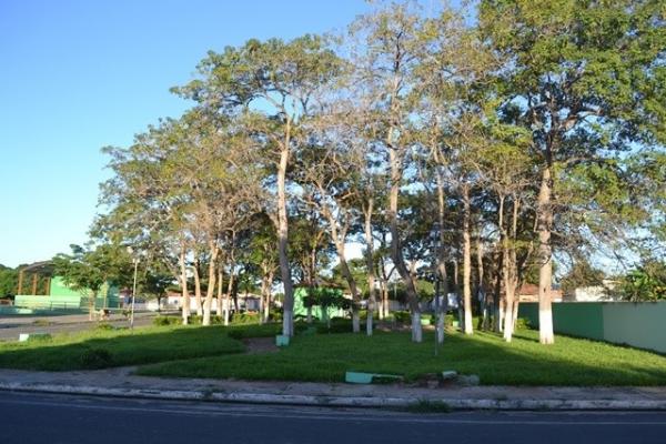 Durante briga em bar, jovem é morto a facadas em São Gonçalo do Piauí