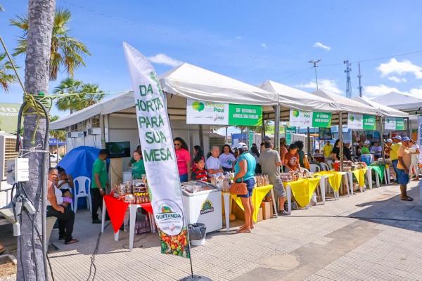 Governo tem investido na produ&ccedil;&atilde;o da agricultura familiar no Piau&iacute;.(Imagem:Geirlys Silva / SAF)
