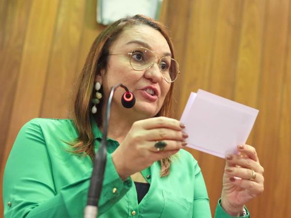 Deputada anuncia meia passagem para jovens estudantes de todo o Piauí