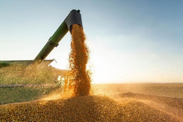 Piauí exportou R$ 838,6 milhões em junho e Balança Comercial atinge superávit de R$ 760,6 milhões