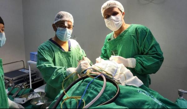 Número de cirurgias ortopédicas subiu 29% após implantação da Linha do Trauma