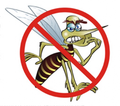 Piauí ultrapassa as 5 mil notificações de dengue