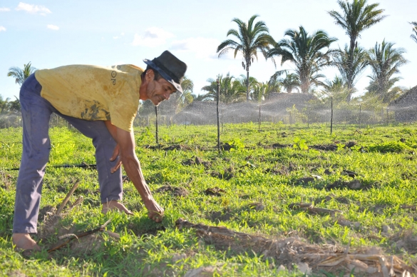Programa Compra Direta da Agricultura Familiar será reativado em maio