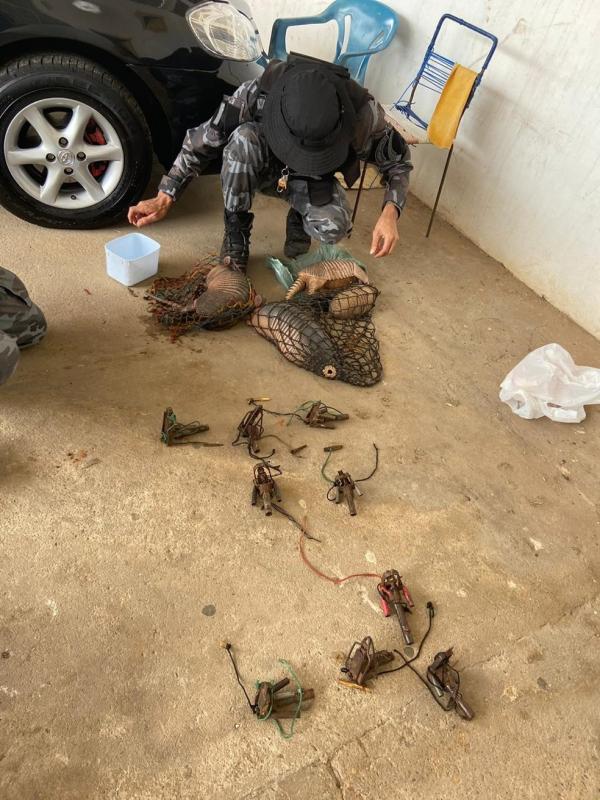 Polícia Militar resgata tatu-bola e apreende armadilhas em Valença do Piauí