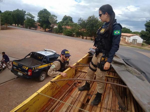 Mega operação da PRF combate crimes ambientais no Piauí e Maranhão com a prisão de 61 pessoas