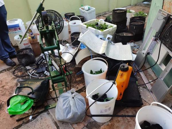 Organizadores de festa são presos com drogas sintéticas e plantação de maconha em estufa em Pedro II