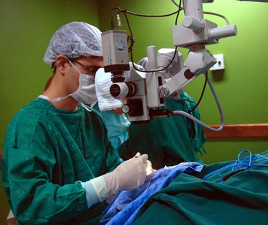 OMS mostra que 5 pessoas morrem a cada minuto por erro médico