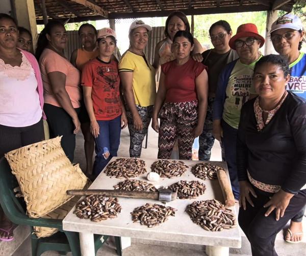 No Piauí, quebradeiras vão criar primeira fábrica de sabonetes artesanais feitos com óleo de coco