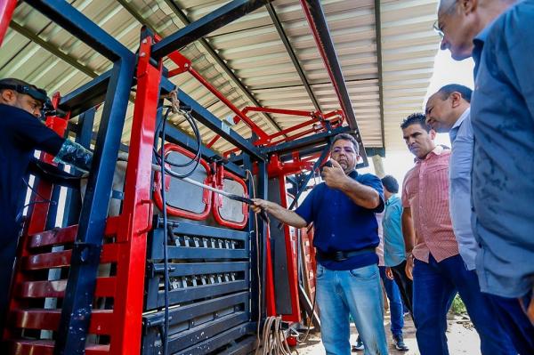 Melhoramento gen&eacute;tico do rebanho bovino j&aacute; beneficia produtores em 103 cidades do estado(Imagem:Tavynho Neto)