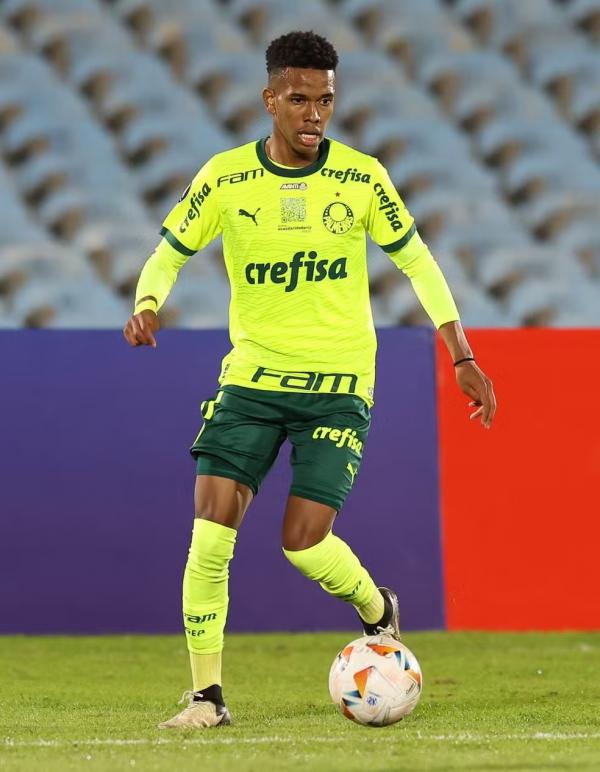 Est&ecirc;v&atilde;o durante a partida entre Palmeiras e Liverpool, do Uruguai.(Imagem:Cesar Greco)