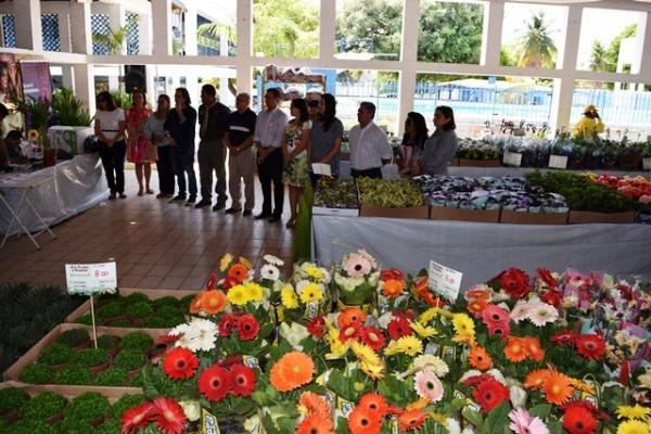Aberto em Floriano 1º Festival de Flores de Holambra