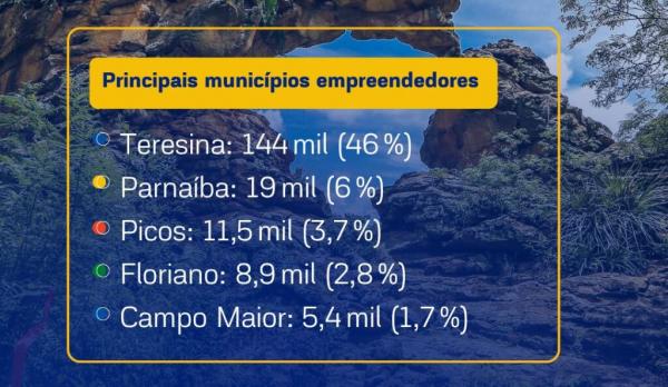 Piau&iacute; tem mais de 300 mil empresas ativas, com predomin&acirc;ncia do com&eacute;rcio e servi&ccedil;os(Imagem:Divulga&ccedil;&atilde;o)