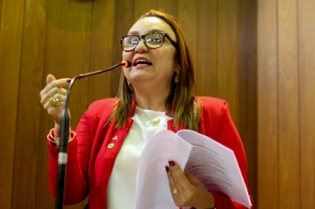 Pedido de sessão especial para discutir privatizações é aprovado na Alepi