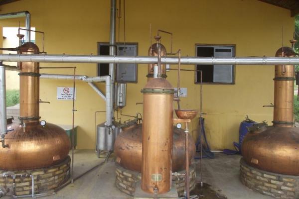 Rep&oacute;rter Amarelinho visita f&aacute;brica da cacha&ccedil;a Vale do Riach&atilde;o.(Imagem:FlorianoNews)