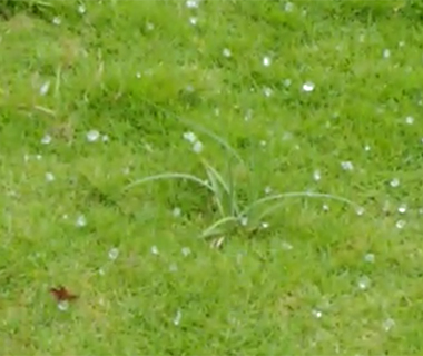 Chuva de granizo e ventania causam destruição em Castelo