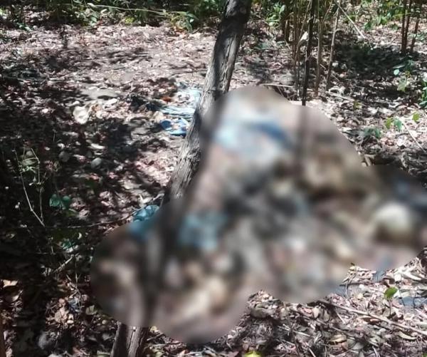 Ossada humana é encontrada em região de mata na zona rural de Teresina