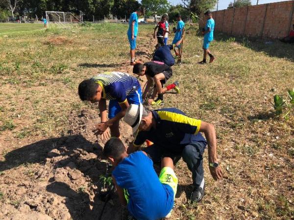 Clube da Agespisa recebe arborização feita pelo Rotary Club Floriano Princesa do Sul
