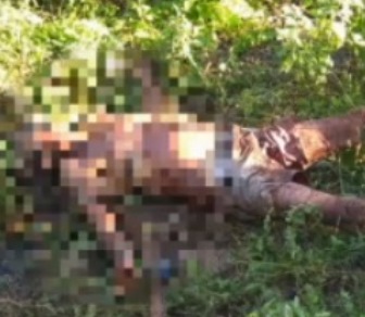 Corpo é encontrado com várias perfurações em fazenda no Piauí