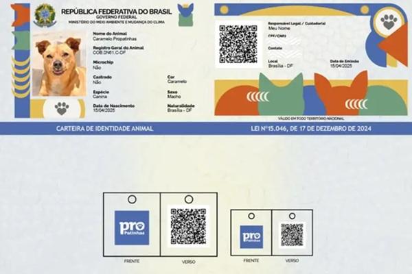 Tela de in&iacute;cio do Sinpatinhas, que permite o cadastro de c&atilde;es e gatos. (Imagem:Planalto/Divulga&ccedil;&atilde;o)
