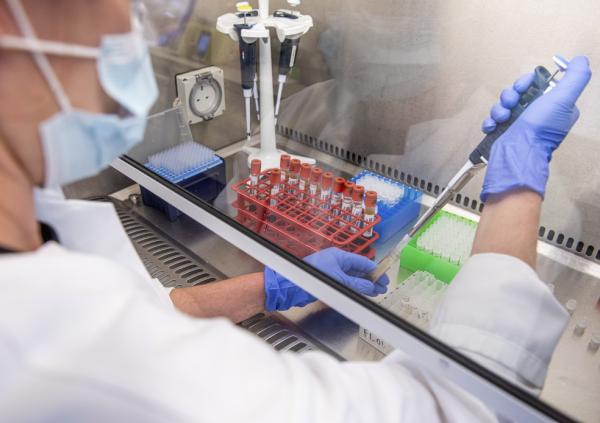 Oxford anuncia que vacina induziu "fortes respostas imunes" em voluntários idosos em testes de fase