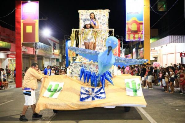 Carnaval de Floriano: Escolas de samba brilham na Avenida Get&uacute;lio Vargas(Imagem:Secom)