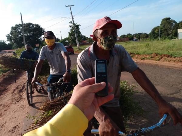 Tradi&ccedil;&atilde;o da colheita do alecrim &eacute; mantida em Floriano(Imagem:FlorianoNews)