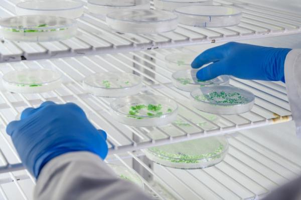 Piauí ultrapassa 45 mil infectados e chega a 1.228 óbitos por Covid-19